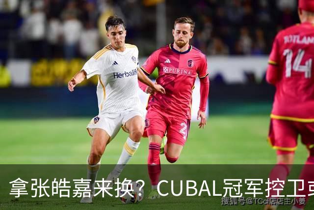 拿张皓嘉来换？CUBAL冠军控卫或被广东队看中，这可是加强版徐杰